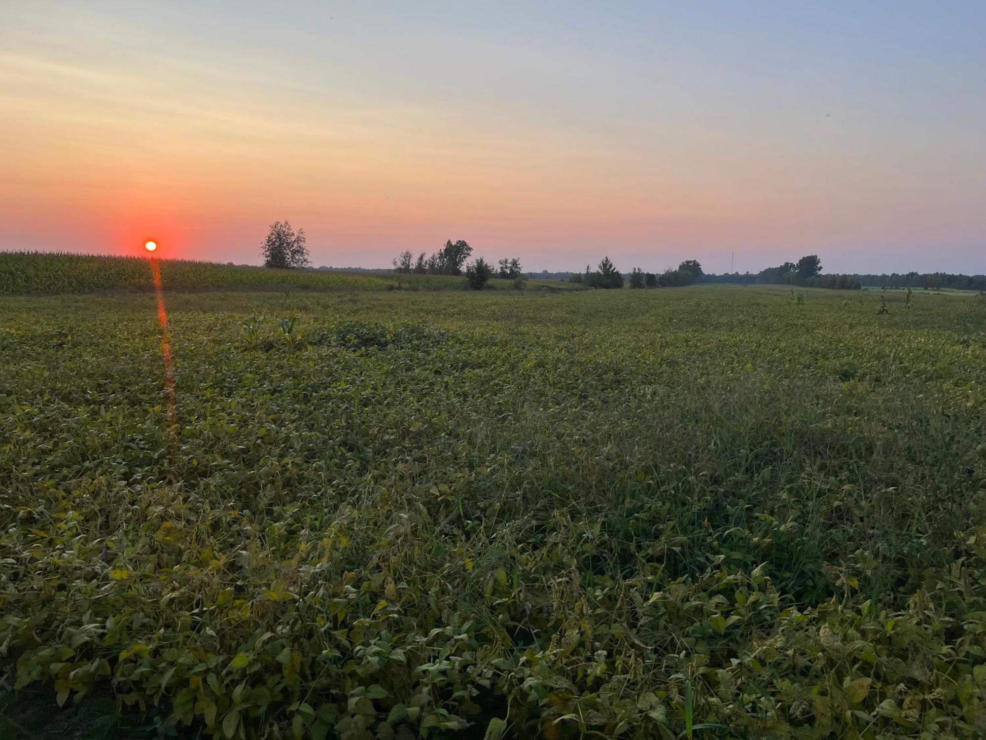 Ferienwohnung La Ruee Vers L'Orge Trois-Rivières Exterior foto